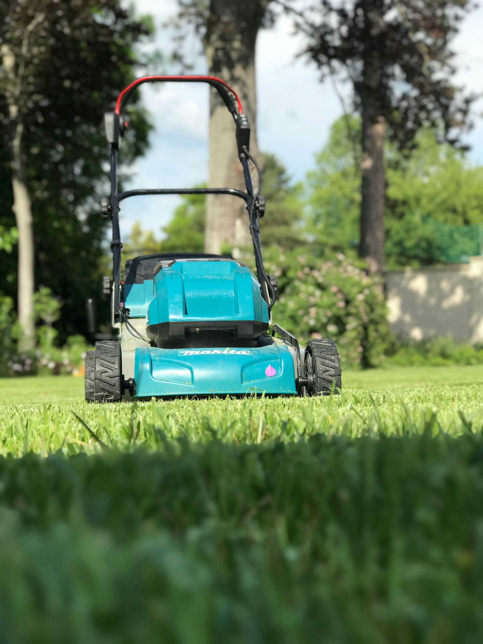 A cordless twin-battery electric lawn mower on a freshly cut lawn, no petrol engine in sight