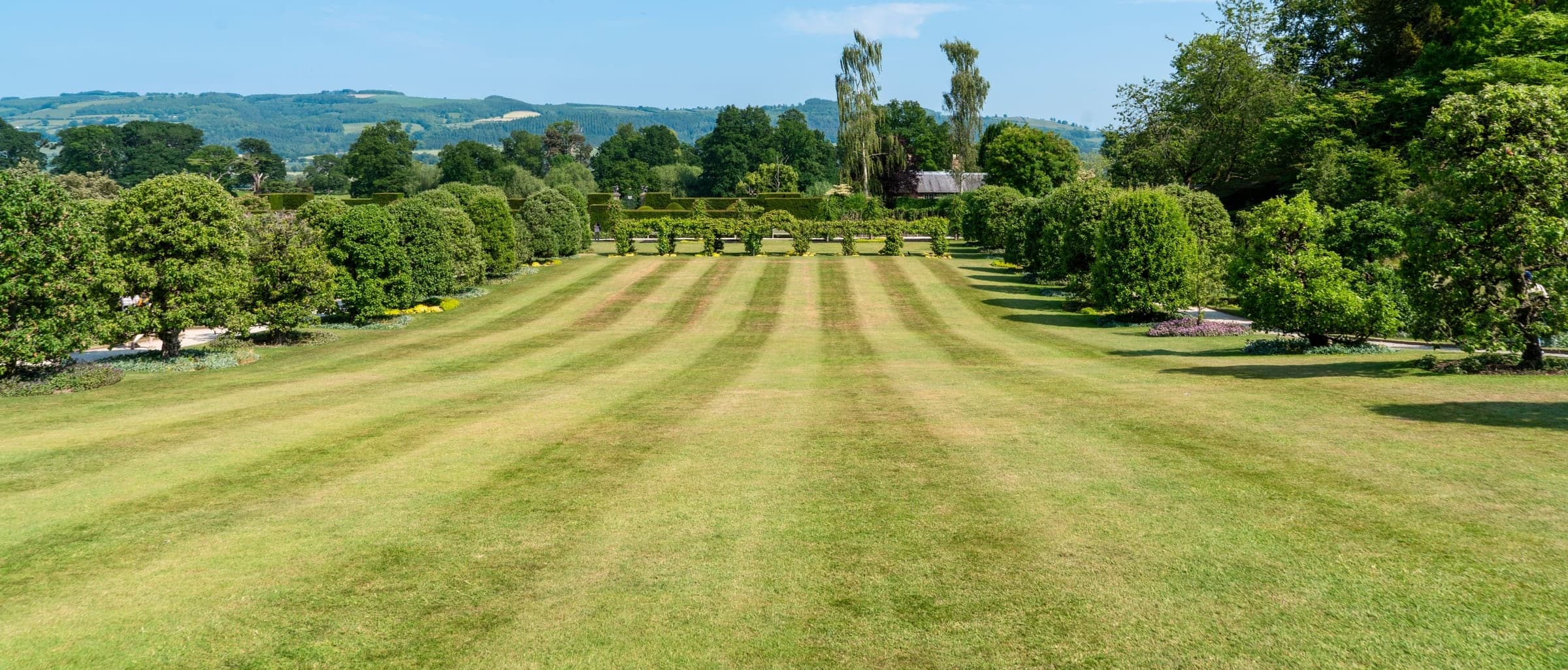 A wide Lincolnshire back garden in summer with a freshly mown striped lawn, planted borders and a trimmed hedge