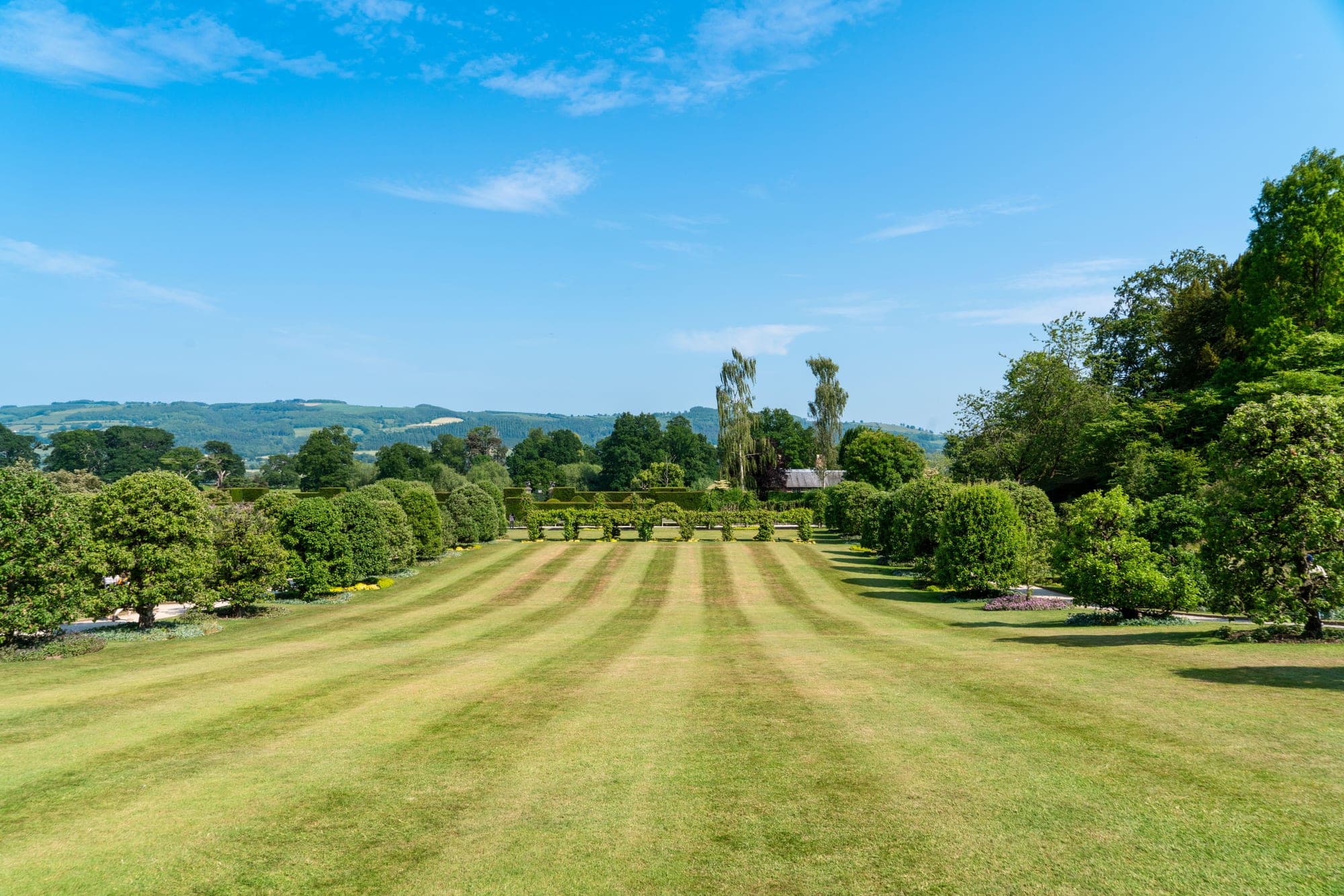 A freshly mown lawn with clean mowing stripes running across it